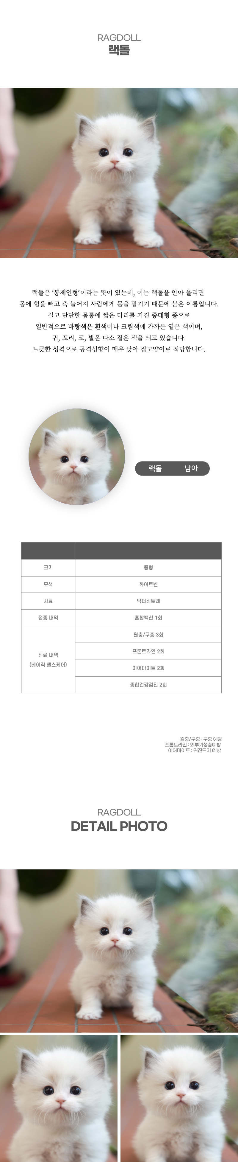 랙돌_상세이미지_2